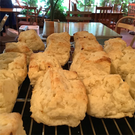 f:id:nil-cafe:20190528111743j:image f:id:nil-cafe:20190528111743j:image