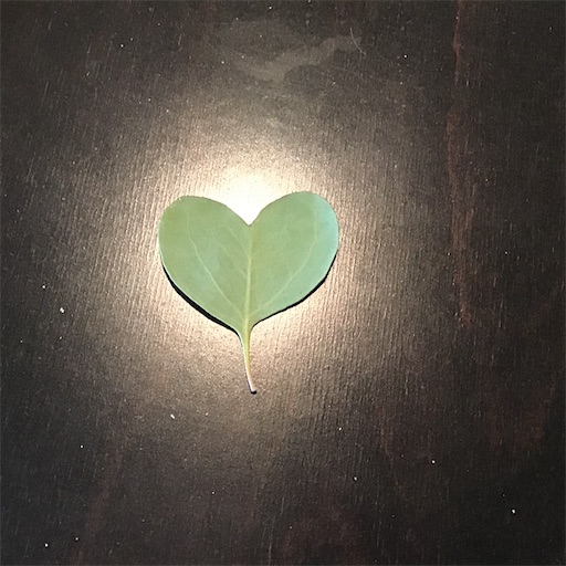 f:id:nil-cafe:20210708095516j:image f:id:nil-cafe:20210708095516j:image