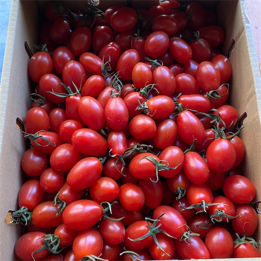 f:id:nil-cafe:20230116103142j:image f:id:nil-cafe:20230116103142j:image