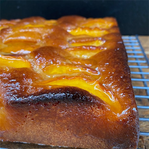 f:id:nil-cafe:20230909102001j:image