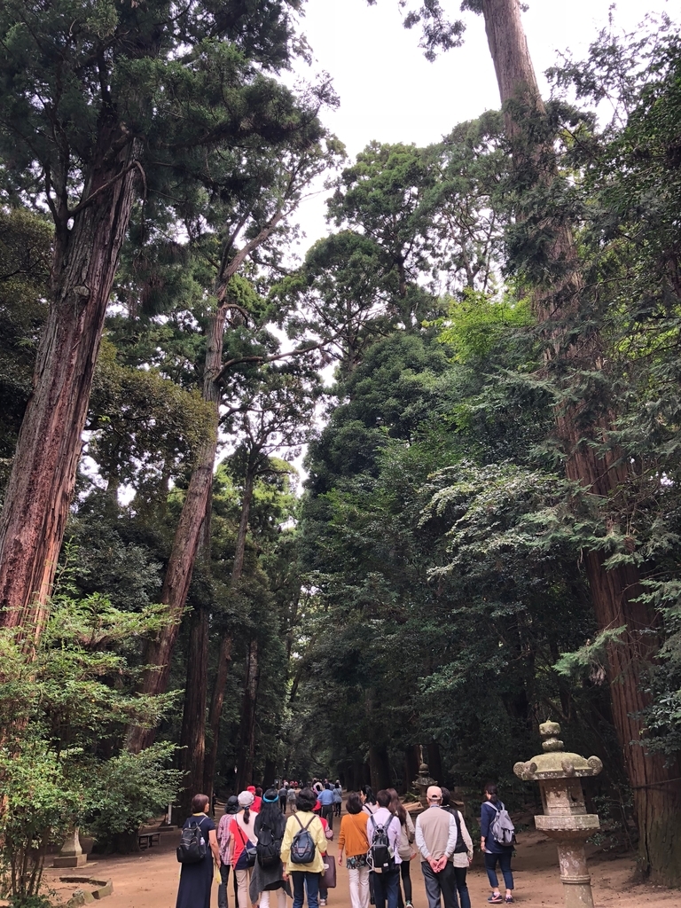 f:id:nimben:20181003103745j:plain