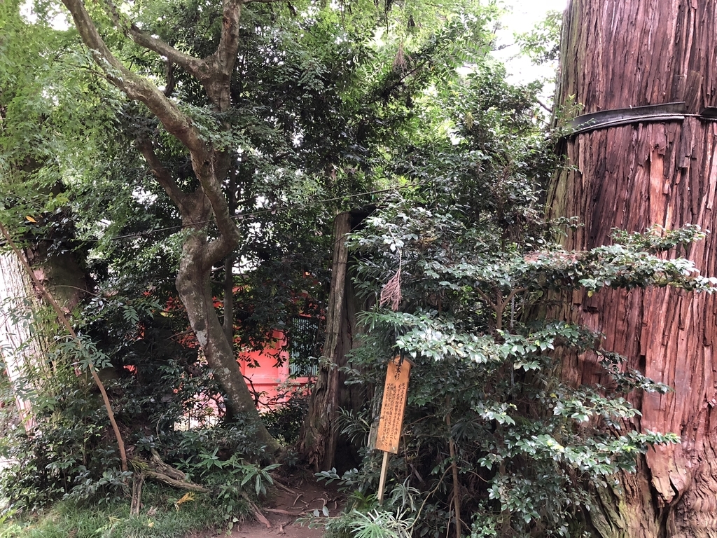 f:id:nimben:20181003145949j:plain f:id:nimben:20181003145949j:plain