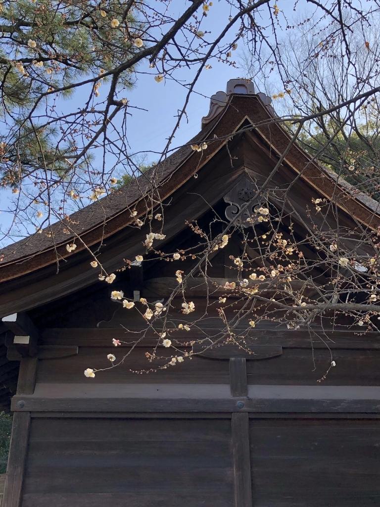f:id:nimben:20190220145615j:plain f:id:nimben:20190220145615j:plain