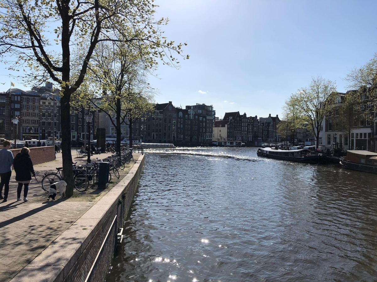 f:id:nimben:20190331154836j:plain f:id:nimben:20190331154836j:plain