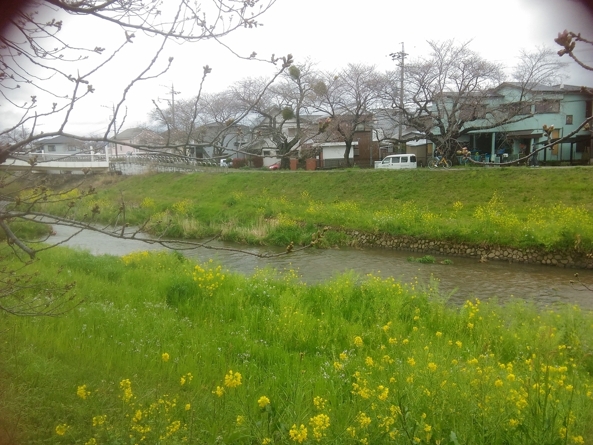 f:id:nimotu:20200329160856j:plain f:id:nimotu:20200329160856j:plain