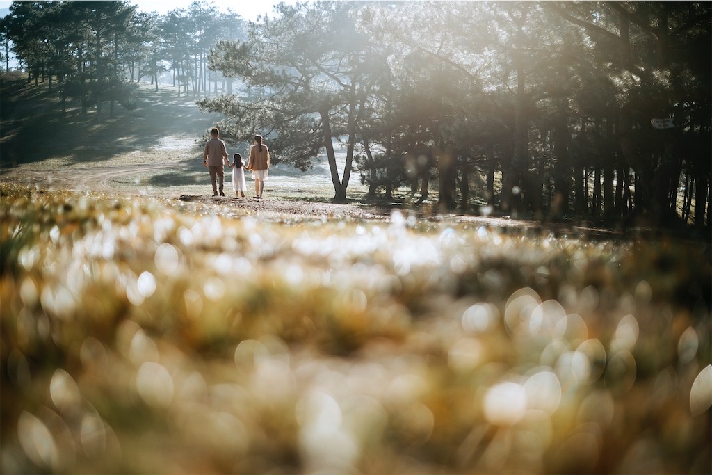 f:id:nimuse:20241028201259j:image