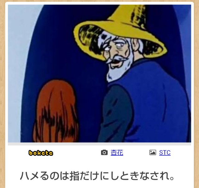 f:id:ninNIKUman:20190208064559j:image f:id:ninNIKUman:20190208064559j:image