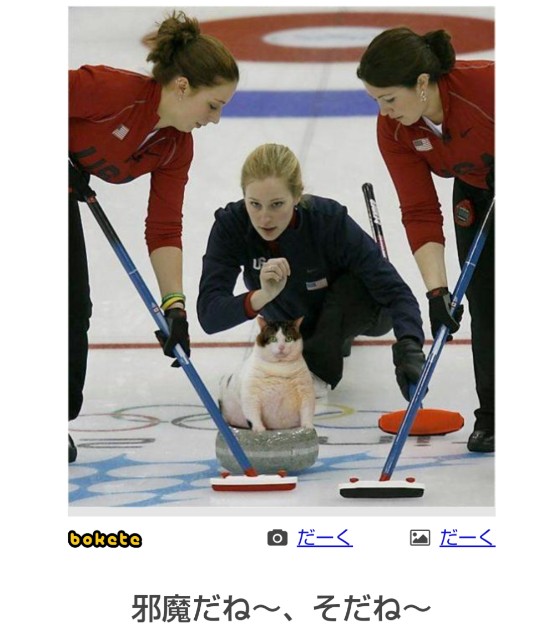 f:id:ninNIKUman:20190212062357j:image f:id:ninNIKUman:20190212062357j:image