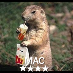 f:id:ninNIKUman:20190301071246j:image