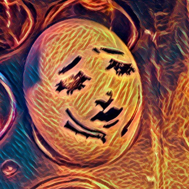 f:id:ninNIKUman:20190306173455j:image