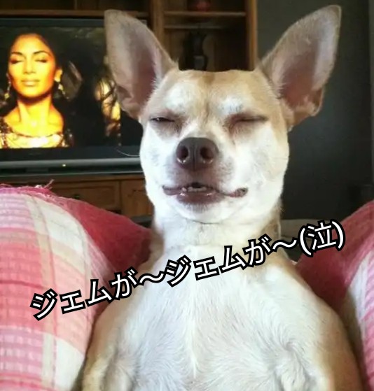 f:id:ninNIKUman:20190523094946j:image f:id:ninNIKUman:20190523094946j:image