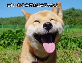 f:id:ninNIKUman:20190523095753j:image f:id:ninNIKUman:20190523095753j:image