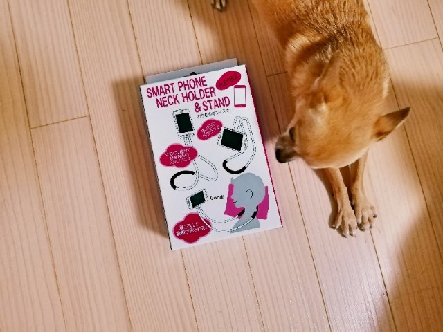 f:id:ninNIKUman:20190709205057j:image