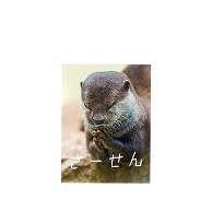 f:id:ninNIKUman:20190917194531j:image