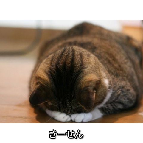 f:id:ninNIKUman:20190917194601j:image