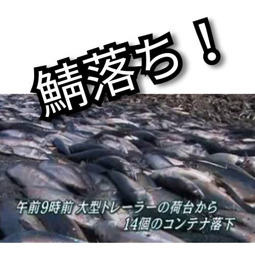 f:id:ninNIKUman:20190917195112j:image