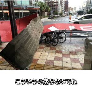 f:id:ninNIKUman:20191010075548j:image