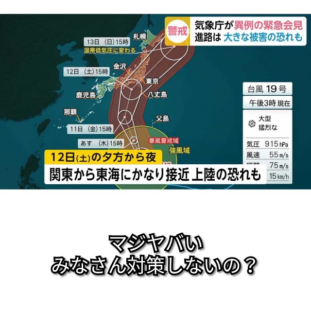 f:id:ninNIKUman:20191010075623j:image