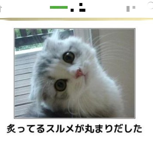 f:id:ninNIKUman:20191103080804j:image f:id:ninNIKUman:20191103080804j:image