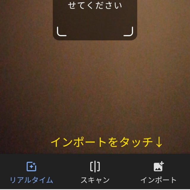 f:id:ninNIKUman:20191122211938j:image