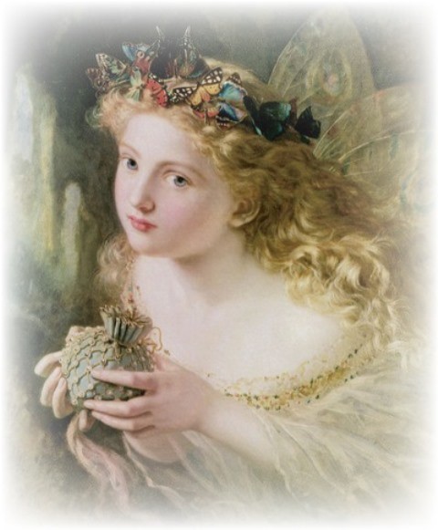 f:id:ninNIKUman:20200217062536j:image