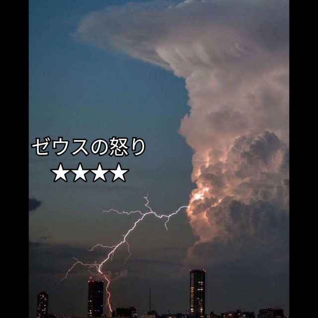 f:id:ninNIKUman:20200407001355j:image