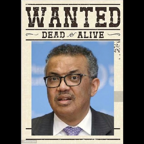 f:id:ninNIKUman:20200412080940j:image