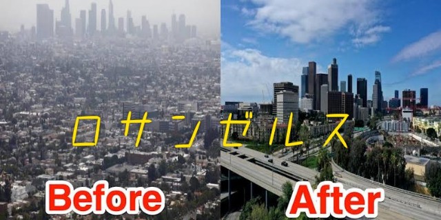 f:id:ninNIKUman:20200505091338j:image