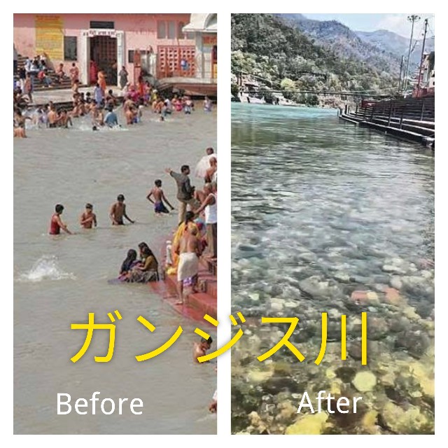 f:id:ninNIKUman:20200505091348j:image