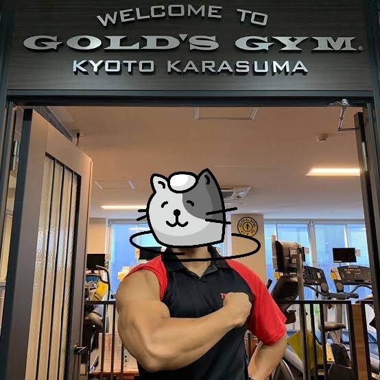 f:id:ninNIKUman:20200505100138j:image