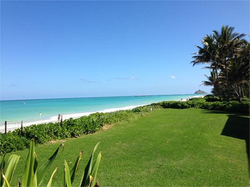 f:id:ninagreen:20160118165156p:plain f:id:ninagreen:20160118165156p:plain