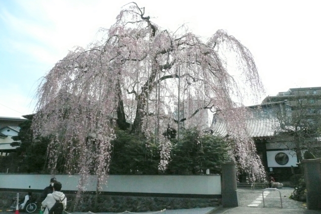 20090329100810