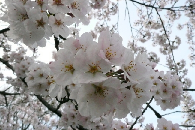 20090405140924