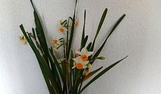 f:id:ninasimone:20190106201221j:image