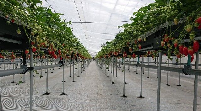 f:id:ninasimone:20190316153322j:plain f:id:ninasimone:20190316153322j:plain