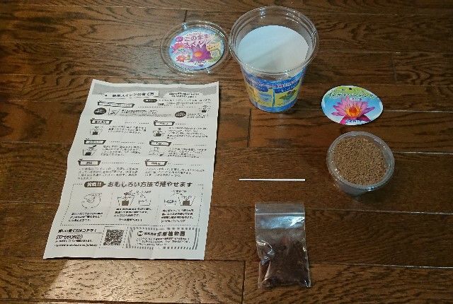 f:id:ninasimone:20190508225850j:image f:id:ninasimone:20190508225850j:image