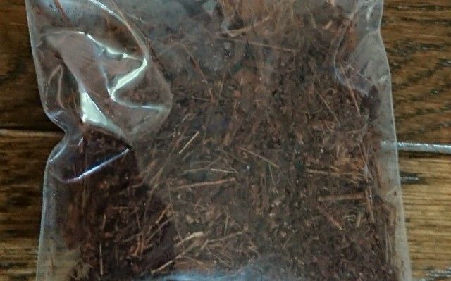 f:id:ninasimone:20190508225902j:image f:id:ninasimone:20190508225902j:image