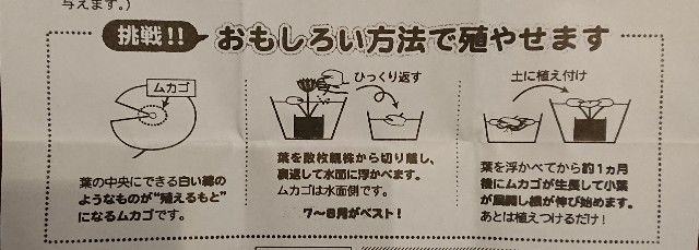 f:id:ninasimone:20190509053754j:image f:id:ninasimone:20190509053754j:image