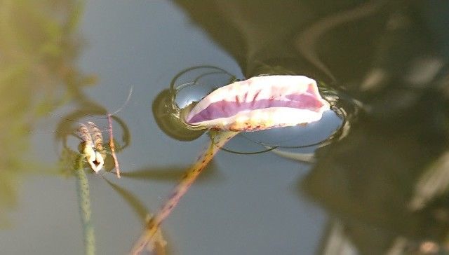 f:id:ninasimone:20190510174332j:image f:id:ninasimone:20190510174332j:image