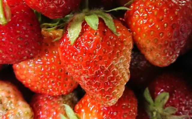 f:id:ninasimone:20190516065123j:image f:id:ninasimone:20190516065123j:image