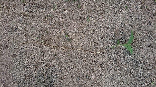 f:id:ninasimone:20190517064600j:image f:id:ninasimone:20190517064600j:image