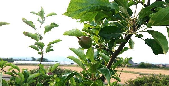 f:id:ninasimone:20190605080455j:image f:id:ninasimone:20190605080455j:image