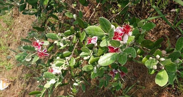 f:id:ninasimone:20190611130122j:image f:id:ninasimone:20190611130122j:image