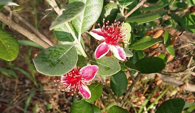 f:id:ninasimone:20190611130201j:image f:id:ninasimone:20190611130201j:image