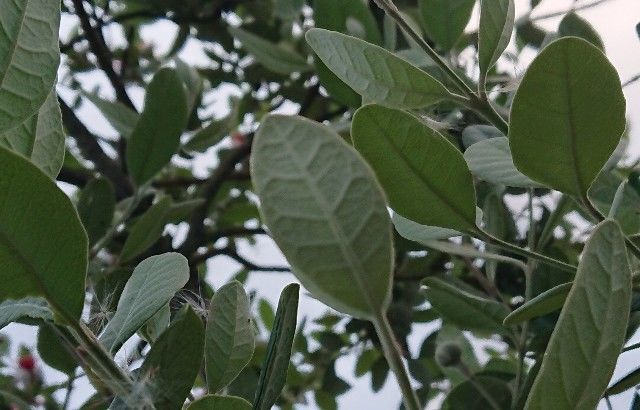 f:id:ninasimone:20190611185338j:image f:id:ninasimone:20190611185338j:image