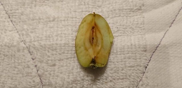 f:id:ninasimone:20190619221412j:image