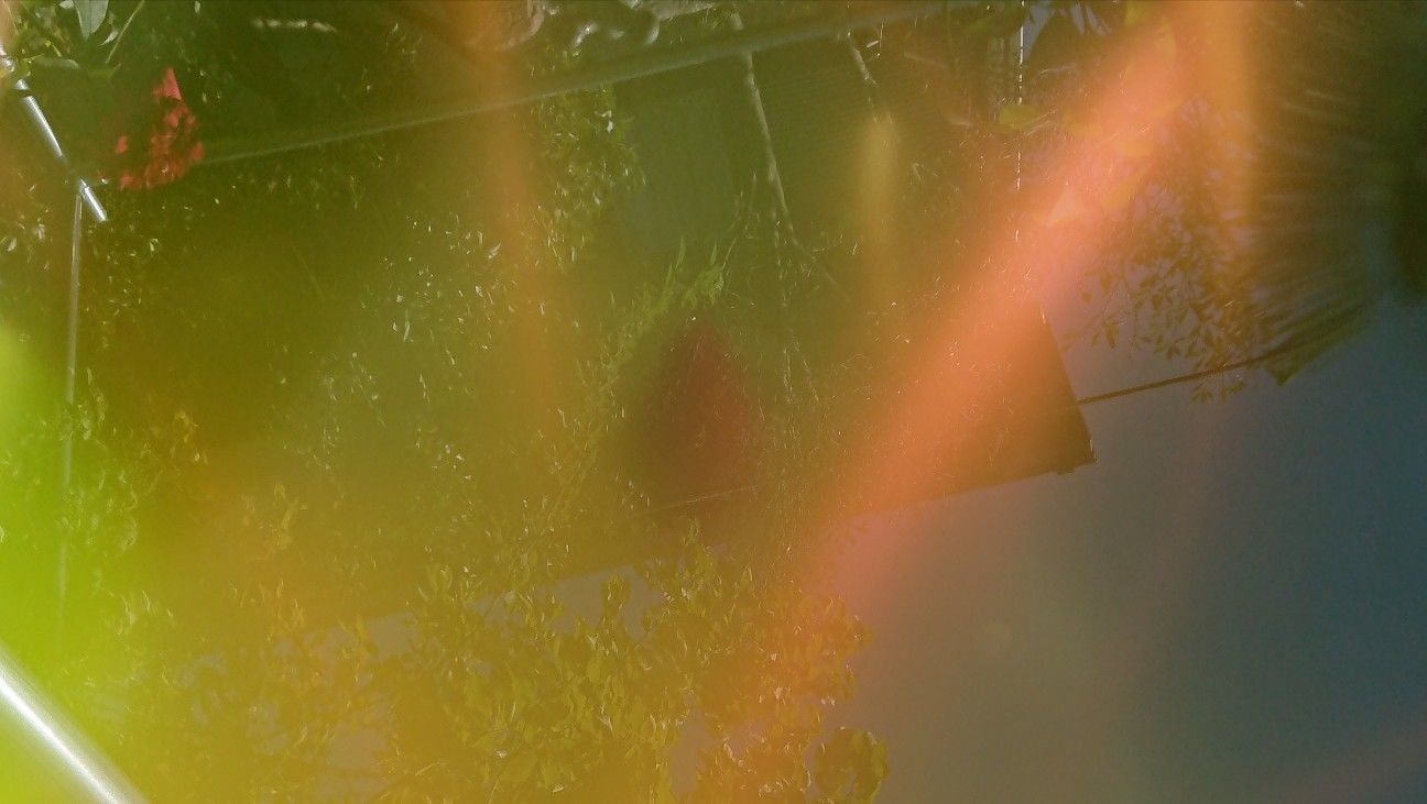 f:id:ninasimone:20190908143717j:image