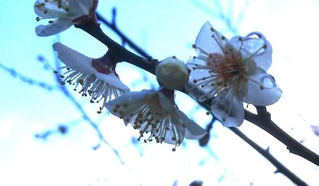 f:id:ninasimone:20200209212132j:image