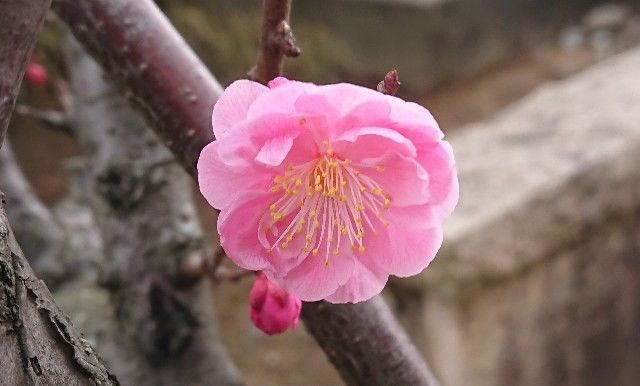 f:id:ninasimone:20200305181330j:image f:id:ninasimone:20200305181330j:image
