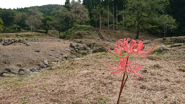 f:id:ninasimone:20200922193023j:image f:id:ninasimone:20200922193023j:image